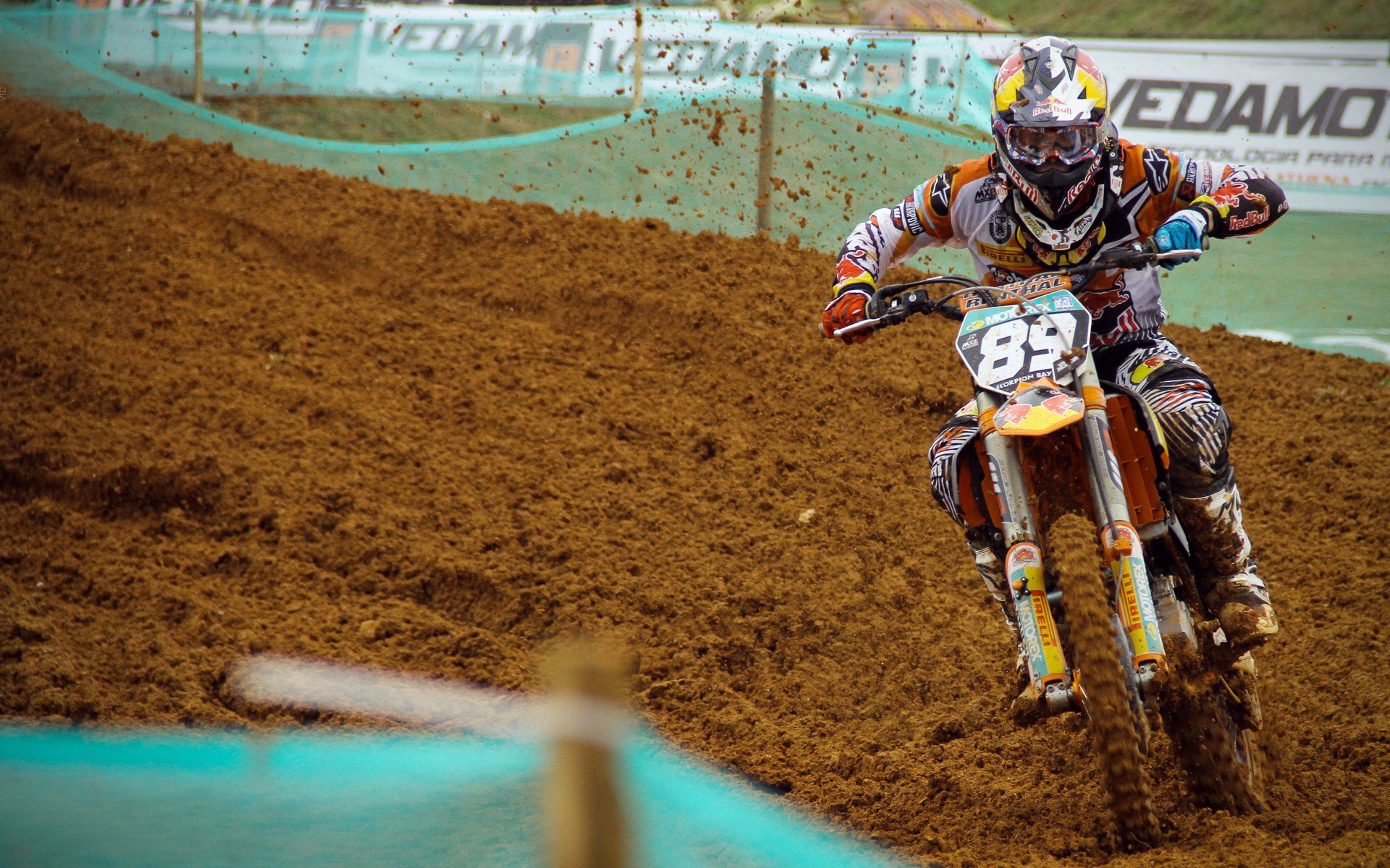 综合体育系“体育文化节压轴综合赛” 各项目明星同场亮相